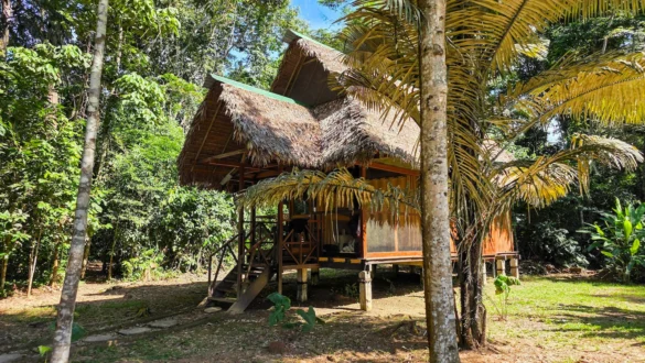 hisica Amazonija Peru nastanitev dzungla