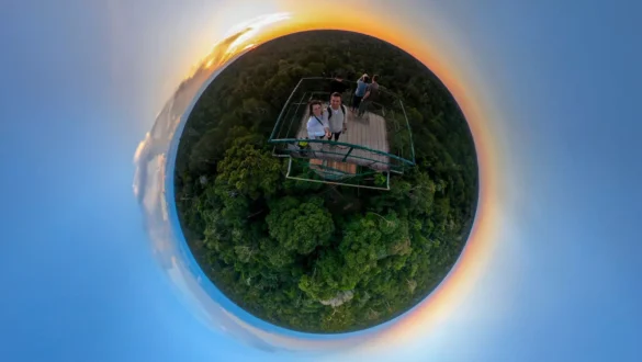 razgled Amazonija Peru dzungla iz stolpa