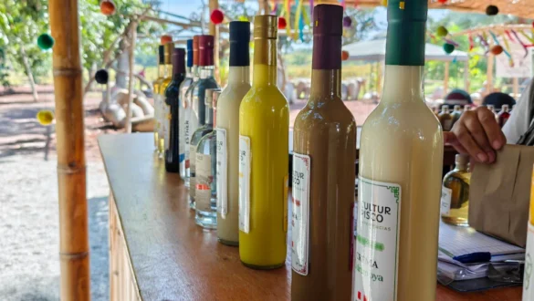 pisco degustacija Peru tradicionalna pijača